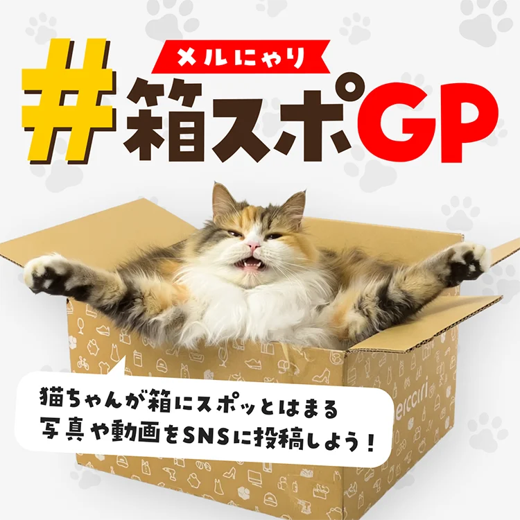 #メルにゃり箱スポGP
