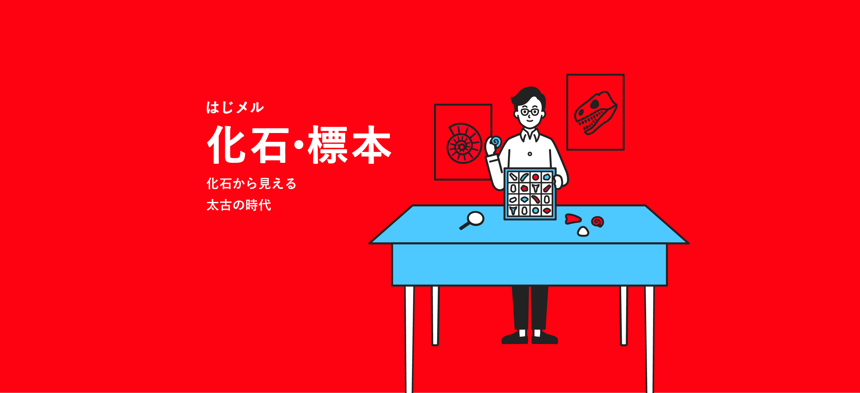 化石・標本-化石から見える太古の時代