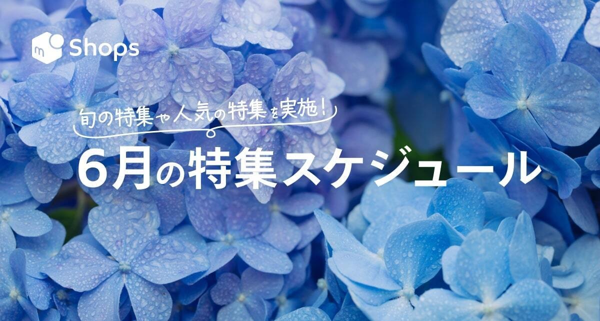 2025年(~6月)の特集スケジュール一覧