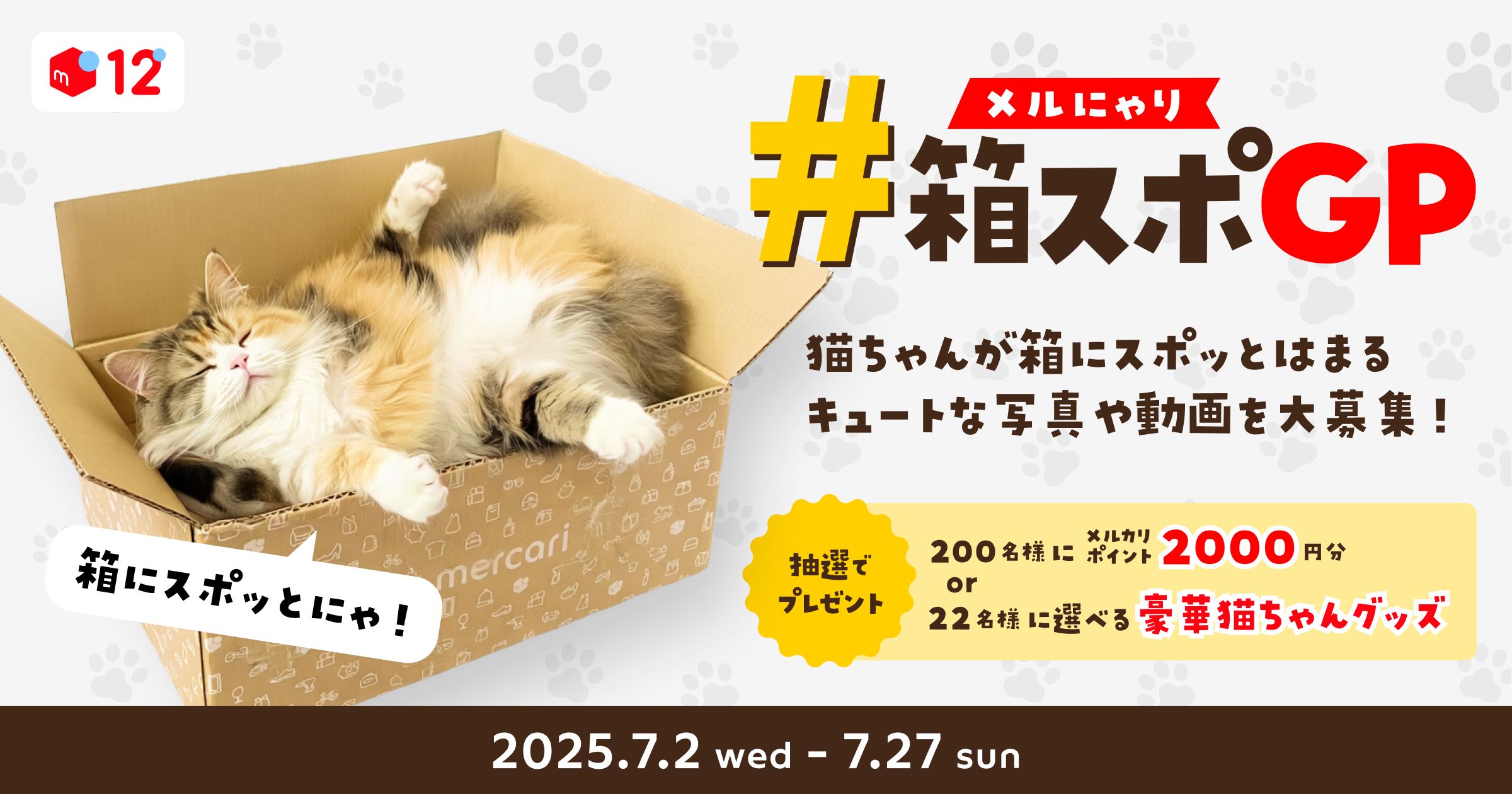 【7/2-7/27】「#メルにゃり箱スポGP」公式SNSに猫ちゃんの写真や動画を投稿!豪華賞品やメルカリポイントを当てよう