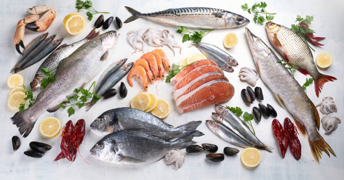 [V70_MS_776]魚をECサイトで販売するには？失敗しない出店先の選び方や比較ポイント・注意点をわかりやすく解説