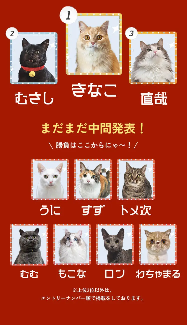 まだまだ中間発表！ 勝負はここからにゃ〜！ ※上位3位以外は、エントリーナンバー順で掲載をしております。