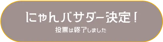 みなさんの投票によりとうとうにゃんバサダーが決定! 参加ありがとうにゃ!
