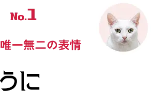 No.1 唯一無二の表情 うに