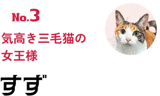 No.3 気高き三毛猫の女王様 すず