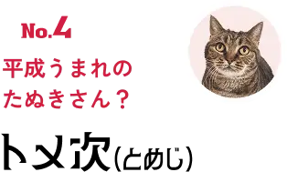 No.4 平成うまれのたぬきさん？ トメ次(とめじ)