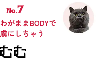 No.7 わがままBODYで虜にしちゃう むむ