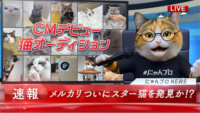 結果発表